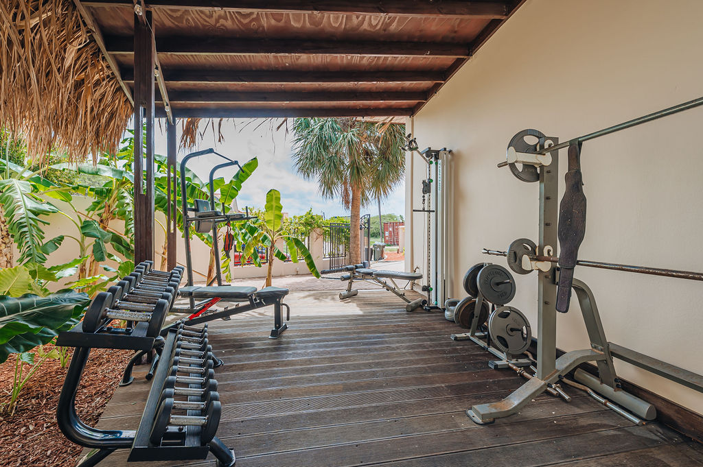 Arbol de Vida · Gym