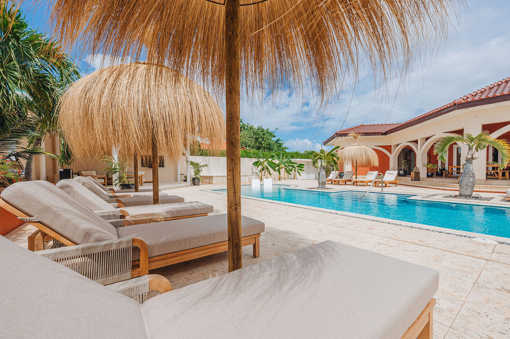 Arbol de Vida · Pool & terrace