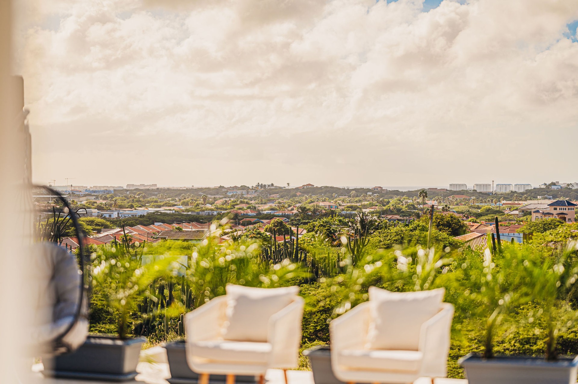 Hoya · Views